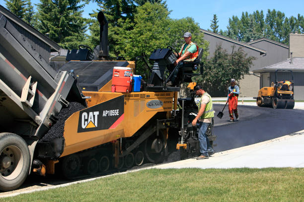 Best Decorative Driveway Paving in Agler Estates, FL